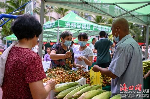 130多种农产品亮相海南消费助农推介活动