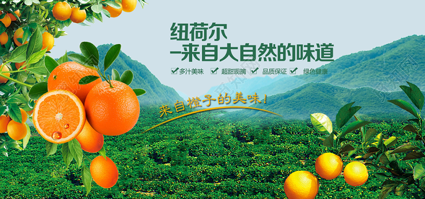 缤纷农产品美食生鲜水果蔬海报banner