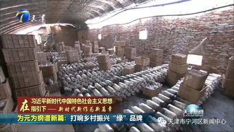 为元为纲谱新篇 打响乡村振兴 绿 品牌