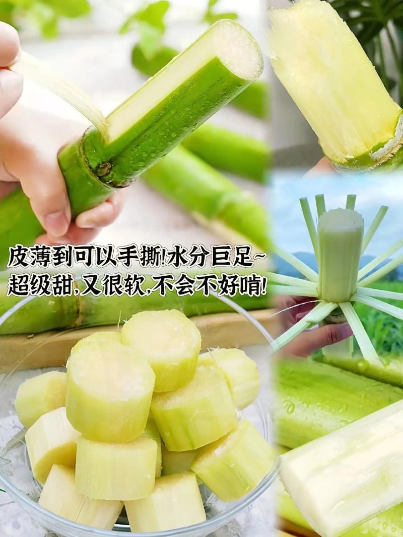 优质农产品 这个青皮陶山水果甘蔗,皮薄到居然可以用手撕!