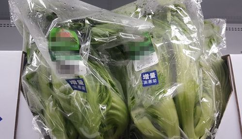 农产品海外市场不断拓展 采后加工 保鲜为品质赋力