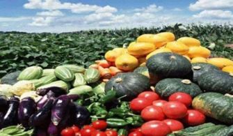 威海市农产品品牌建设迈出新步伐，注册商标达4337件