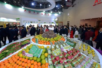 致敬七十华诞，第十七届农交会圆满交卷 日用品展区亮点纷呈