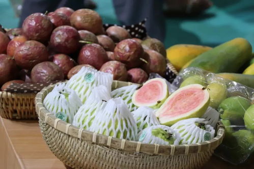 2018广东旅博会 玩转美丽乡村，邂逅全球魅力，明天精彩继续