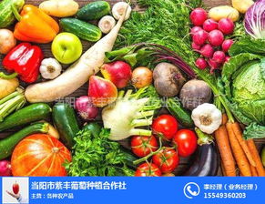 洛阳农产品配送电话 农产品 查看