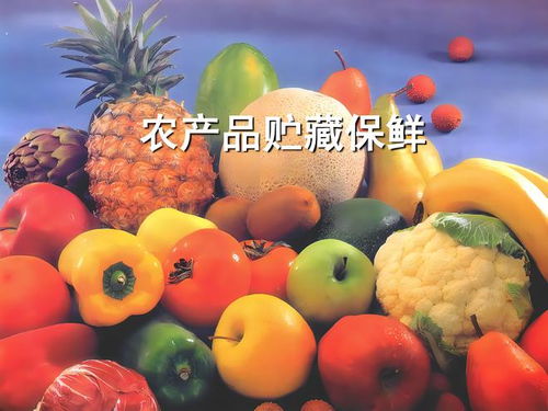 村村通冷链万村农产品预冷保鲜 助力乡村振兴的国家战略冷链物流