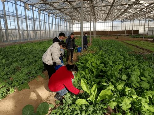 荥阳 多措并举 全力保障春节期间农产品供应